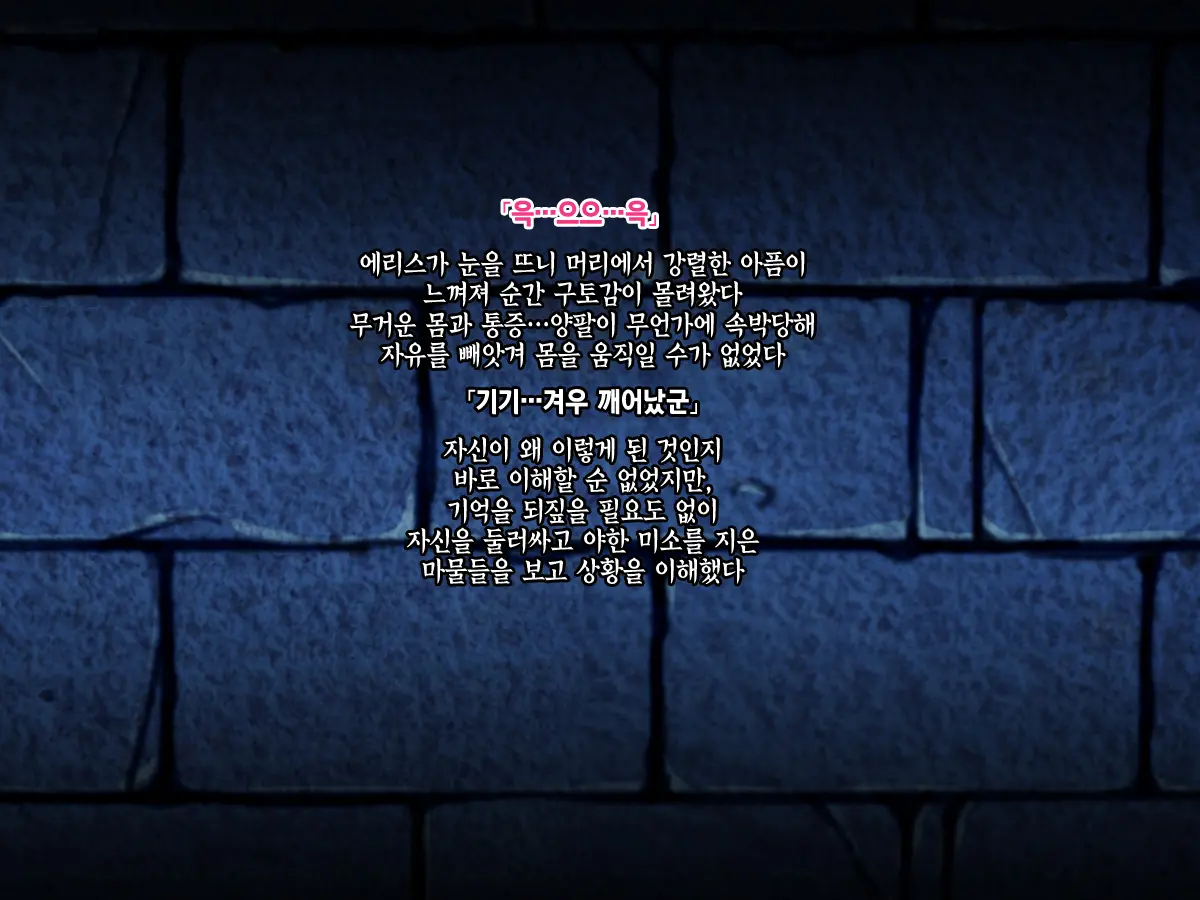 Mamono No Nie ~Torawareta Elf No Matsuro~ | 마물의 희생양 ~사로잡힌 엘프의 말로~